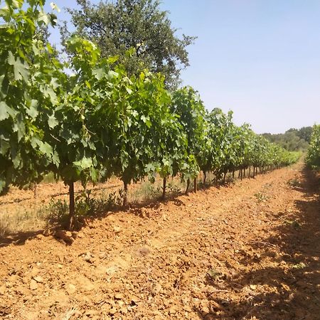 Tourves La Cabane En Bois מראה חיצוני תמונה